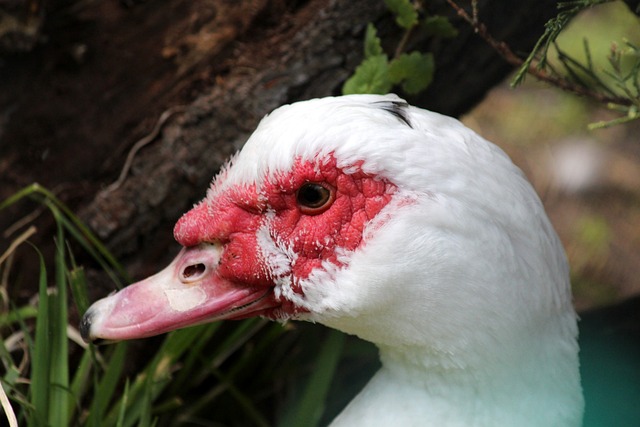 周末足坛激烈对决，拜仁、曼城、巴萨、AC米兰分别取得胜利，上演精彩绝杀。