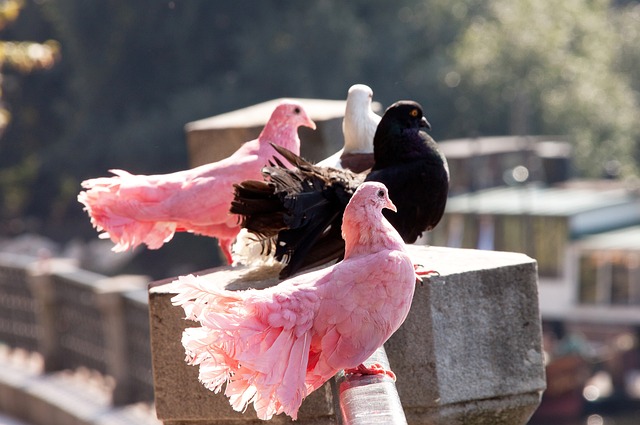 球员的续约 球员的续约