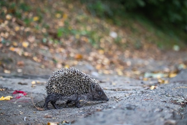 进一步证明 进一步证明