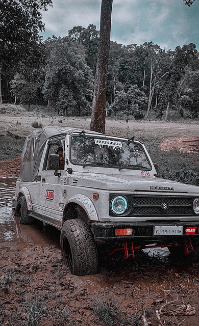 中並不少見 中並不少見