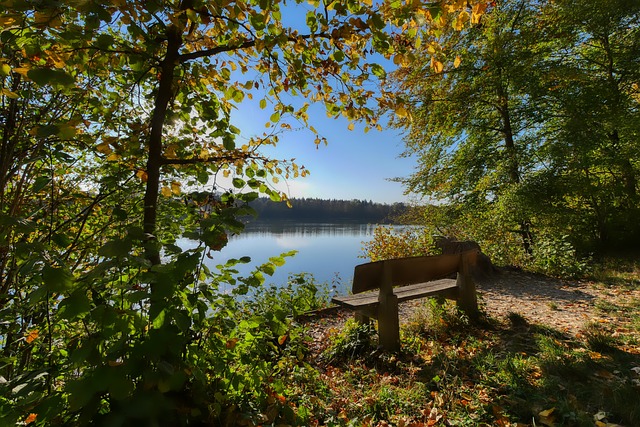 接班人相較 接班人相較