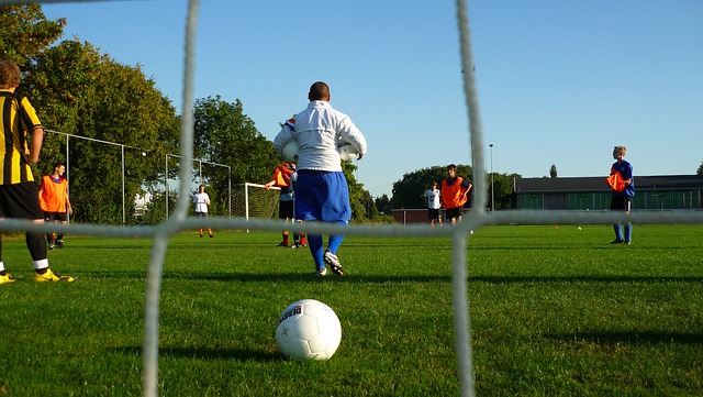 比达尔的带 比达尔的带