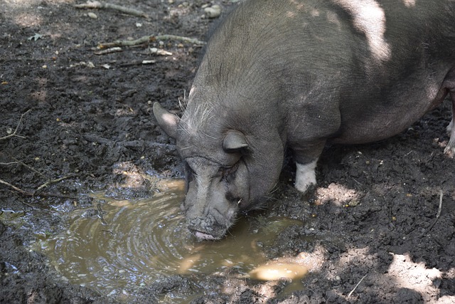 放飞心情 放飞心情